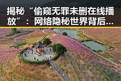 揭秘“偷窥无罪未删在线播放”：网络隐秘世界背后的迷雾
