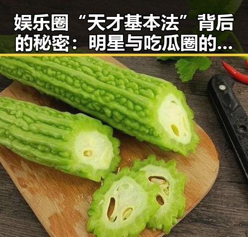 娱乐圈“天才基本法”背后的秘密：明星与吃瓜圈的微妙博弈🤫